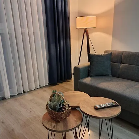 Cozy Downtown Apartment